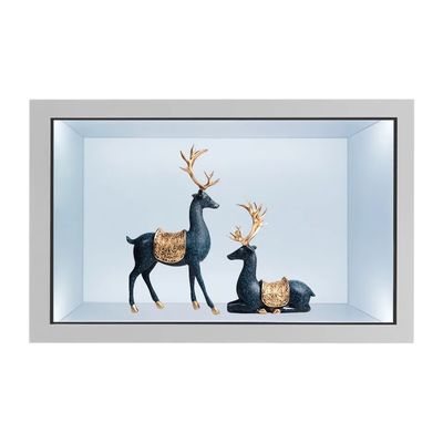 21,5 Zoll transparente LCD-Vitrine mit kapazitivem Touchscreen und 2000 Nits Helligkeit Digital Display Schrank